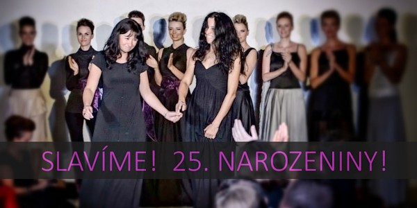 SLAVÍME 25. NAROZENINY! V roce 1993 byla v Karlových Varech založena firma IVN.